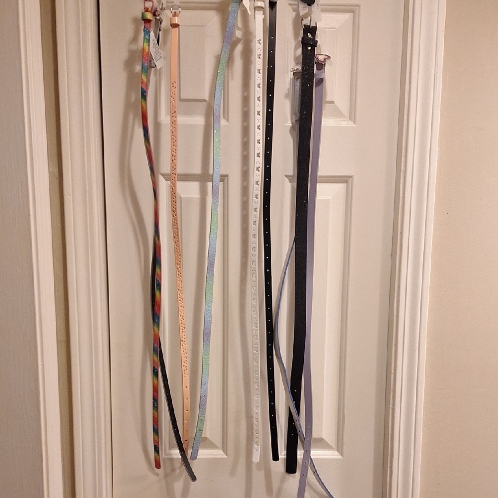 Colorful Belt Set